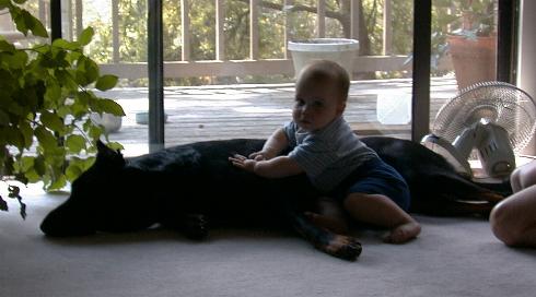 baby 2.JPG (24519 bytes)