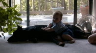 baby 2th.JPG (23552 bytes)