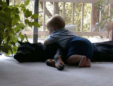 baby 5.JPG (30666 bytes)