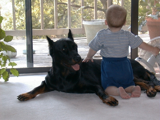 baby 6a.JPG (221594 bytes)