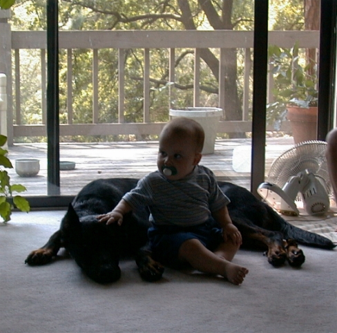 baby 8a.JPG (199658 bytes)