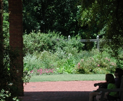 scbg12.JPG (173891 bytes)