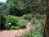 scbg13th.JPG (30399 bytes)