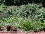 scbg14th.JPG (31804 bytes)