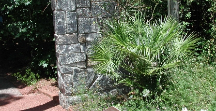 scbg19.JPG (157610 bytes)