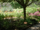 scbg1th.JPG (27779 bytes)