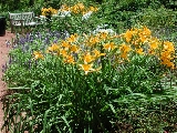 scbg20th.JPG (33818 bytes)