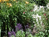 scbg22th.JPG (33949 bytes)