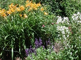 scbg23th.JPG (34053 bytes)