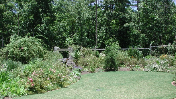 scbg27.JPG (317924 bytes)