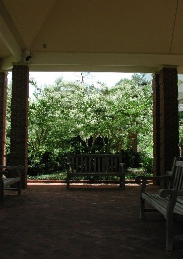 scbg29.JPG (188038 bytes)