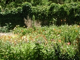 scbg2th.JPG (31735 bytes)