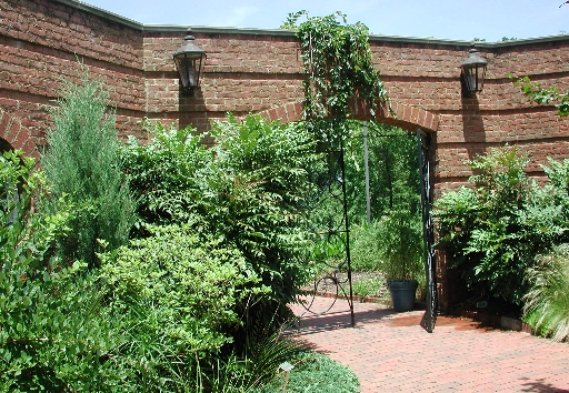 scbg47.JPG (276474 bytes)