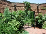 scbg47th.JPG (30492 bytes)