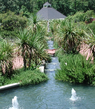 scbg5.JPG (195474 bytes)