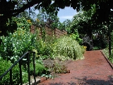 scbg50th.JPG (29744 bytes)