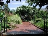 scbg51th.JPG (28955 bytes)