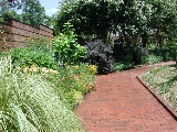 scbg52th.JPG (29970 bytes)