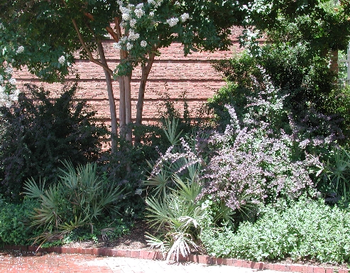 scbg56.JPG (294252 bytes)