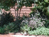 scbg56th.JPG (31356 bytes)