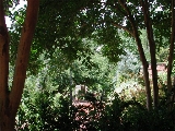 scbg58th.JPG (29931 bytes)