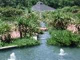 scbg5th.JPG (29281 bytes)