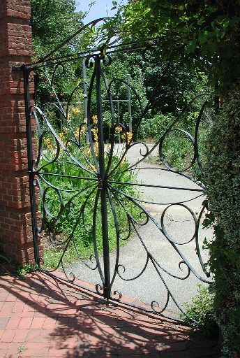 scbg65.JPG (258092 bytes)
