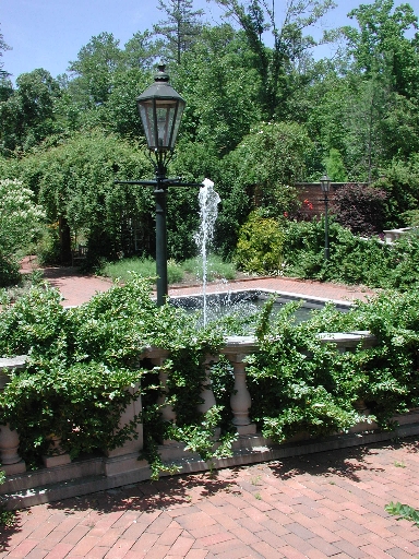 scbg70.JPG (285168 bytes)