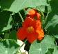 scbg76th.JPG (10251 bytes)