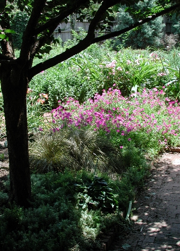scbg82.JPG (269441 bytes)