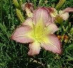 scbg84th.JPG (15695 bytes)
