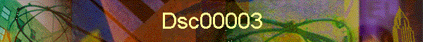 Dsc00003