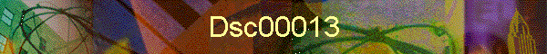 Dsc00013