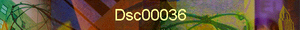 Dsc00036