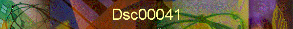Dsc00041