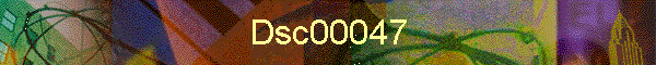 Dsc00047