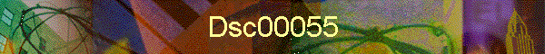 Dsc00055