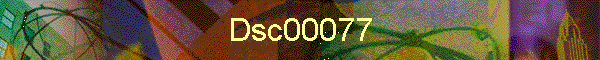 Dsc00077
