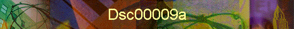 Dsc00009a