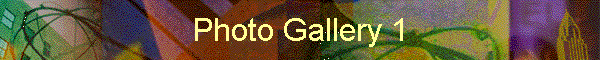 Photo Gallery 1