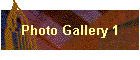 Photo Gallery 1