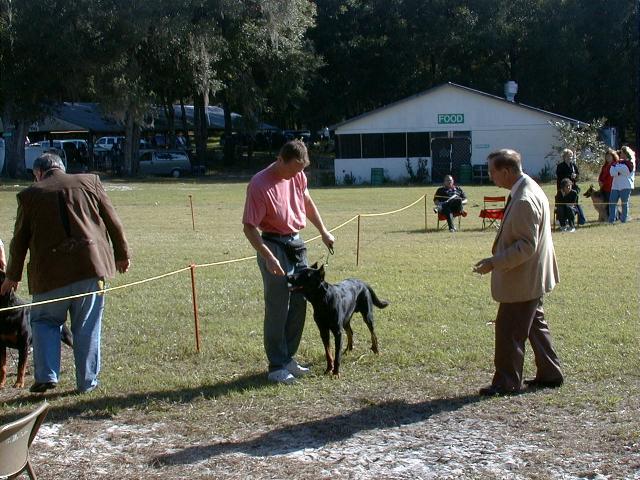 Dsc00003.jpg (76967 bytes)